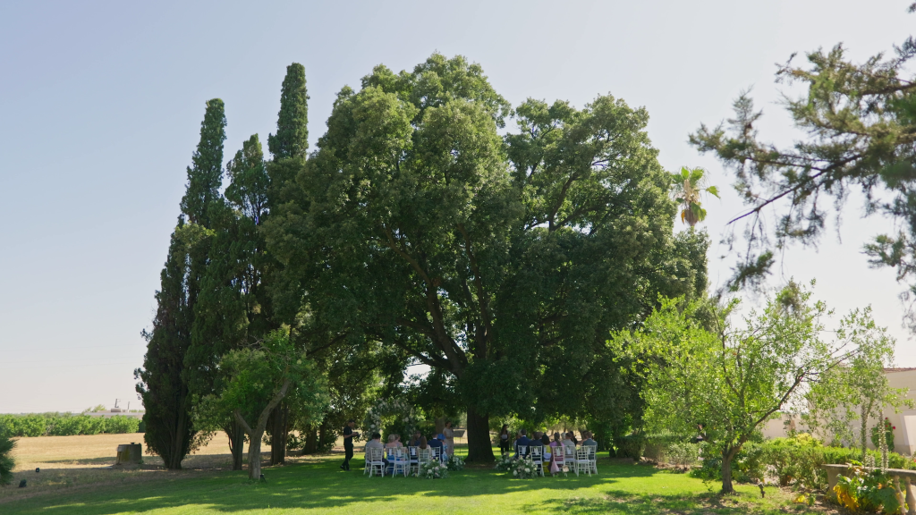A civil ceremony at Villa Gioia Corato under the shade of a tree.